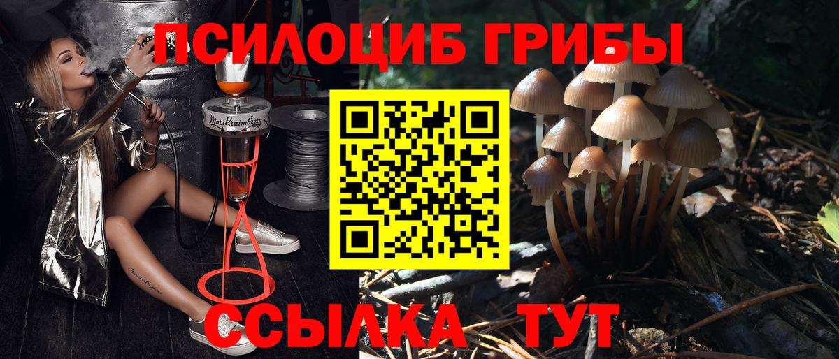 наркотики  Галлюциногенные грибы Cubensis  Вход с VPN  Кизляр 